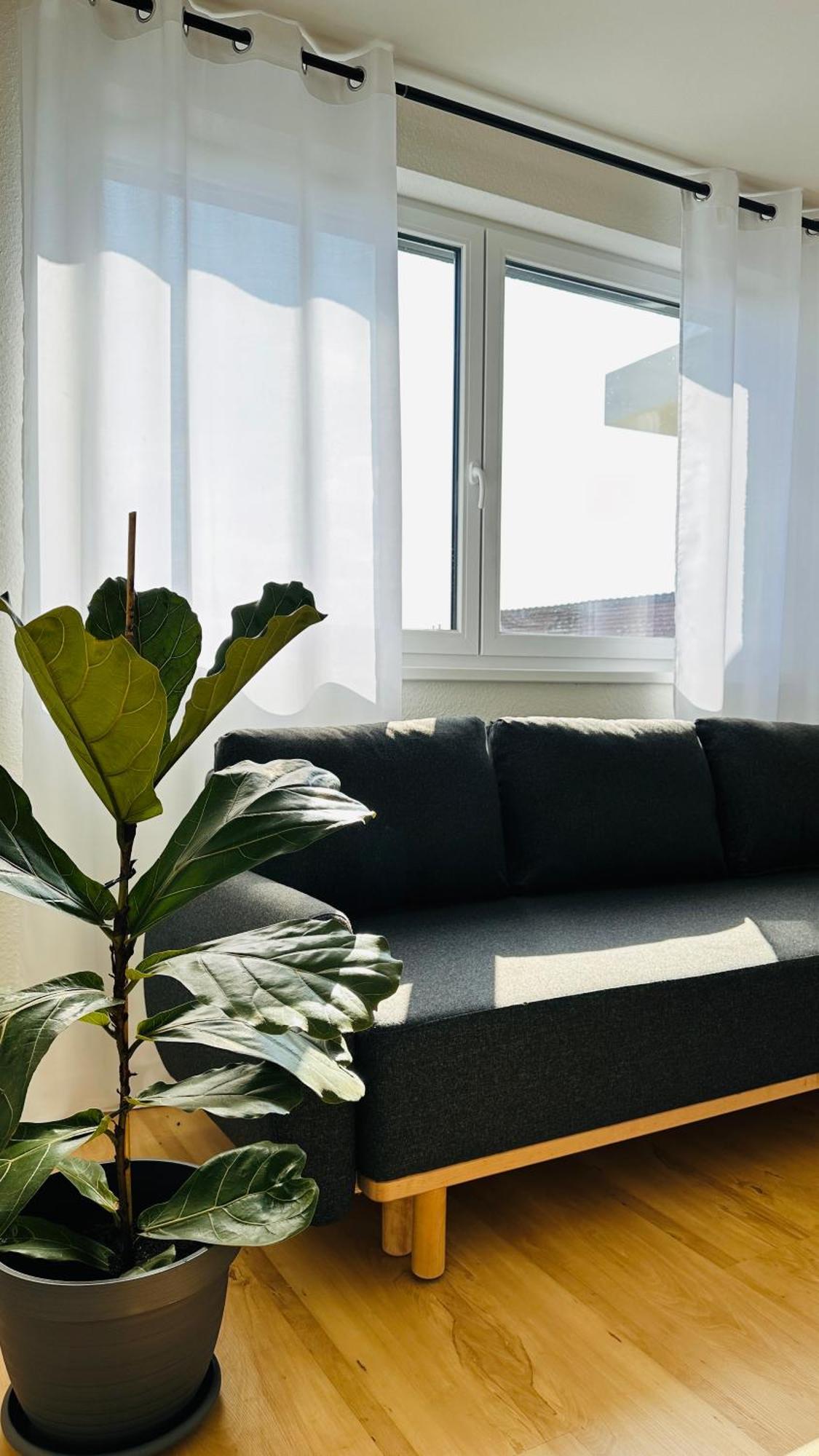 Amao-Sepia I 86Qm I King-Size Beds I Netflix I Privat Balcony I Free Parking I Near Europapark Διαμέρισμα Rheinhausen Εξωτερικό φωτογραφία